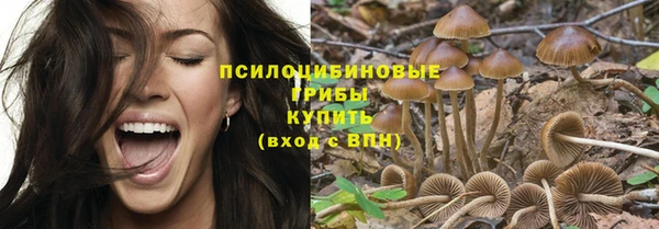 a pvp Богородицк