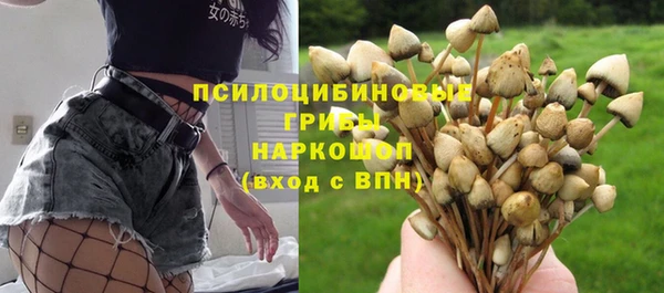 a pvp Богородицк