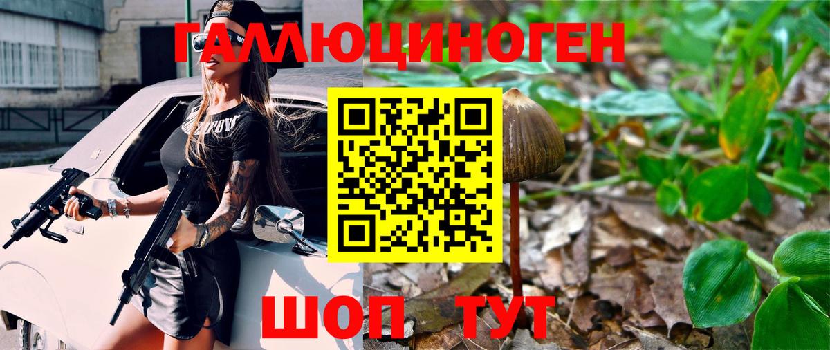 Галлюциногенные грибы прущие грибы Великие Луки