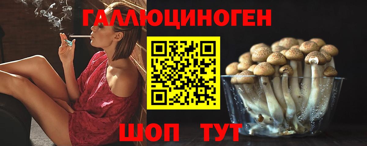 Галлюциногенные грибы MAGIC MUSHROOMS  Вход с VPN  цена   Великие Луки 